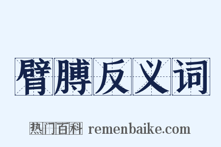 臂膊反义词是什么意思的图片